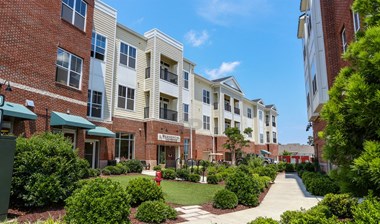 3109 Grace Park Drive 1-4 Beds Apartment for Rent Photo Gallery 1